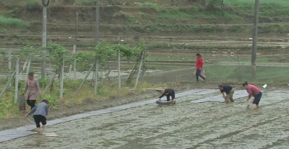 微信截图_20220420144228.png