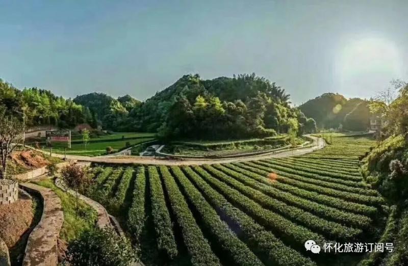 怀化部分景区陆续开放这些游玩信息建议收藏