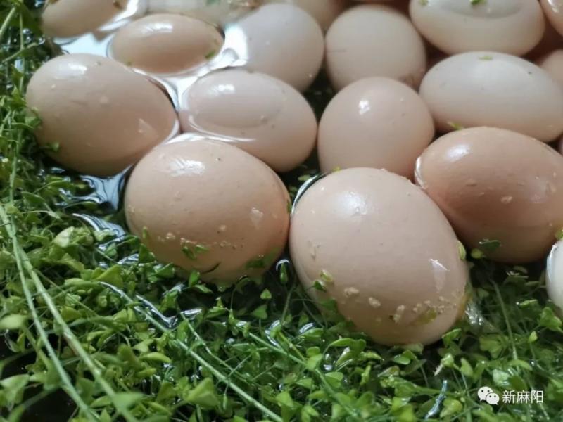 农历三月三,地菜煮鸡蛋,你吃了吗?