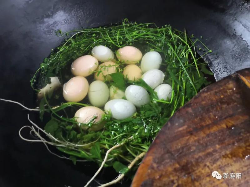农历三月三,地菜煮鸡蛋,你吃了吗?