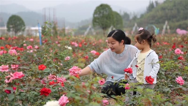 迎丰公园二期植物园加快推进建设