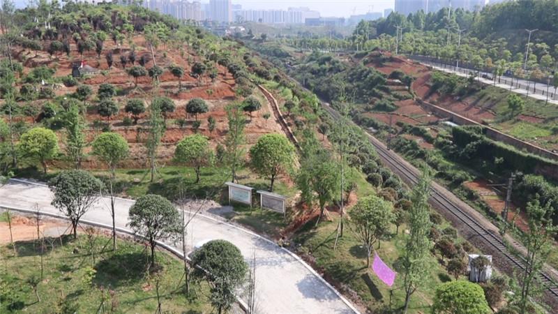 迎丰公园二期植物园加快推进建设