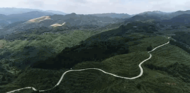 微信图片_20200916100451.gif