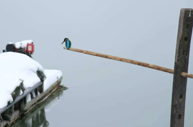 71.png