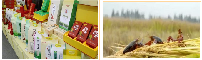 微信图片_20200929093430.png