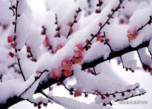 微信图片_20210126153228.jpg