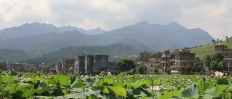 微信截图_20190903154013.png