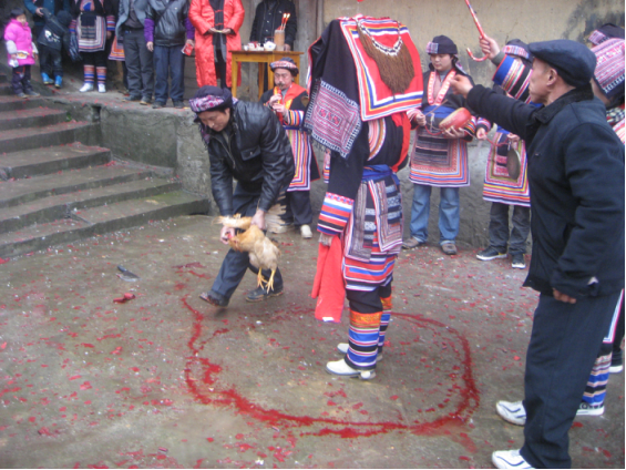 QQ截图20200421111042.png