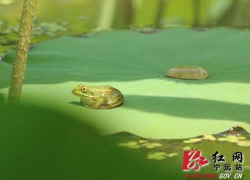 dcd34c3d-7d6a-4f1f-b366-595ad8d8a2f8.jpg