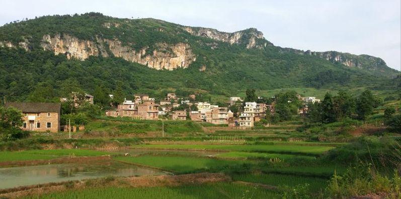 微信图片_20200528151614.jpg