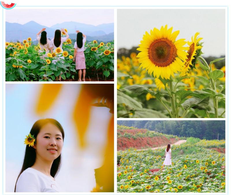 微信截图_20200917100642.png