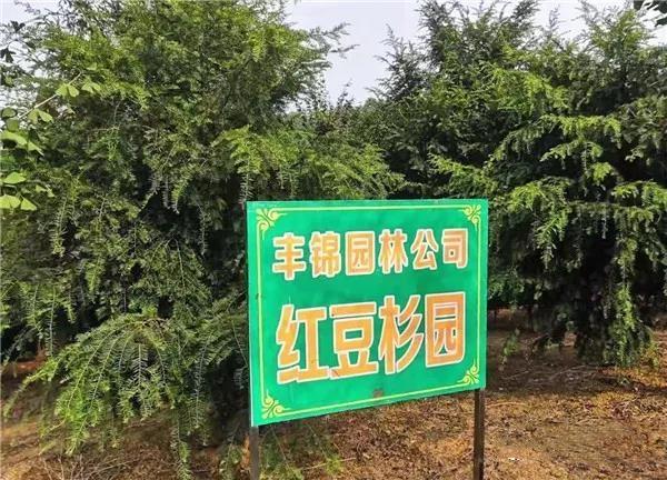 微信图片_20191115112713.jpg