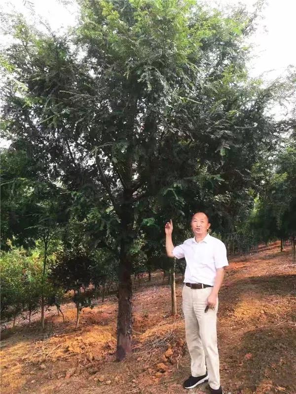 微信图片_20191115112645.jpg