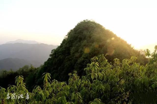 马迹塘"小南岳"九岗山等你来,大桃江旅游胜地