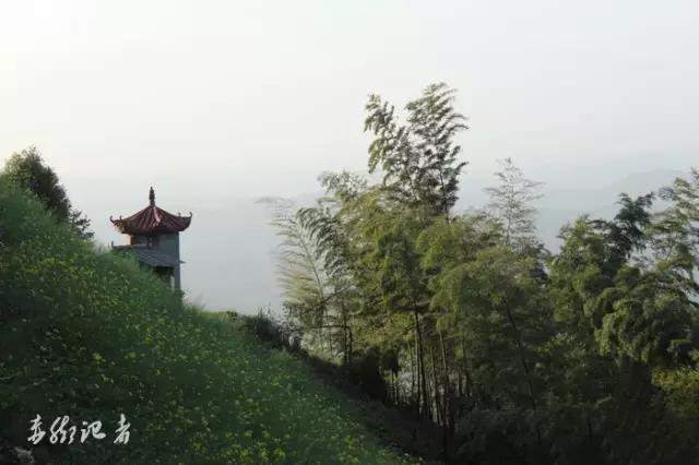 微信图片_20191223143515.jpg