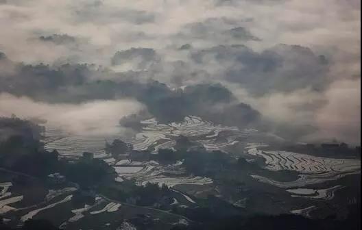 微信图片_20200106160632.jpg