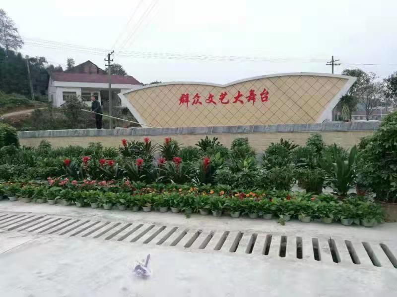 图片 12.png