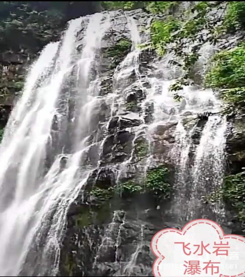 图片 7.png