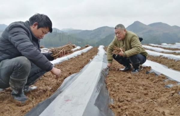 志愿者1.jpg