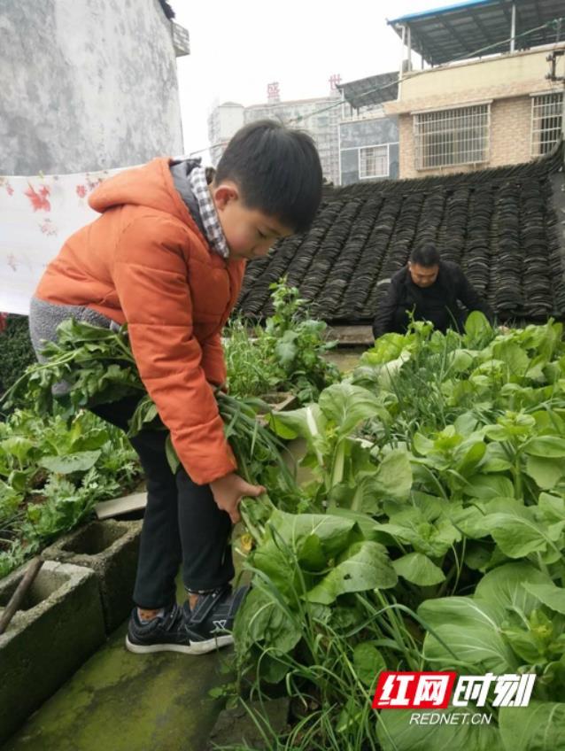 雷锋1.jpg