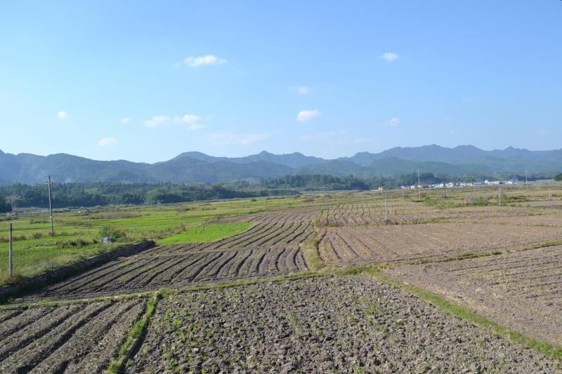 湘鄂川黔革命根据地—十万坪大战战场旧址西面.jpg