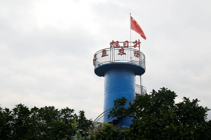 图片9.png