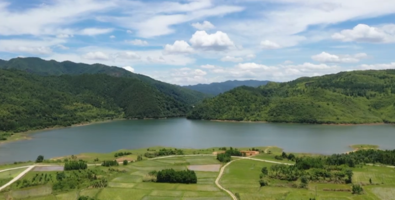 新田:盛夏酷暑下的治愈系风景